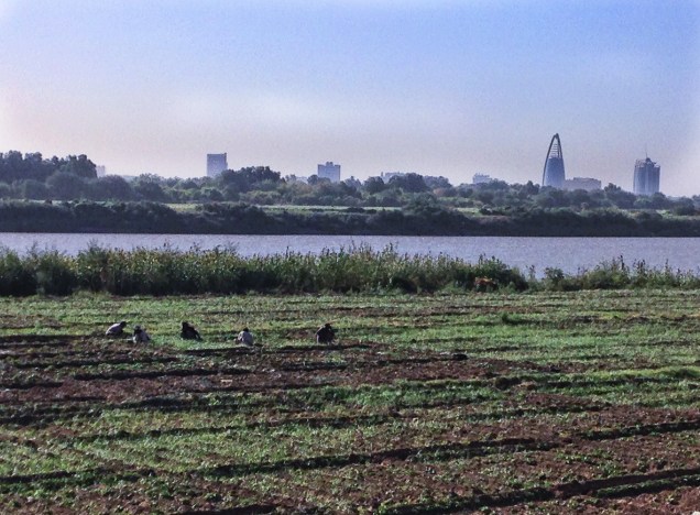 Tutti Island viewed from Omdurman