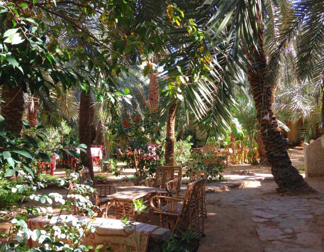 Garden in Siwa Oasis
