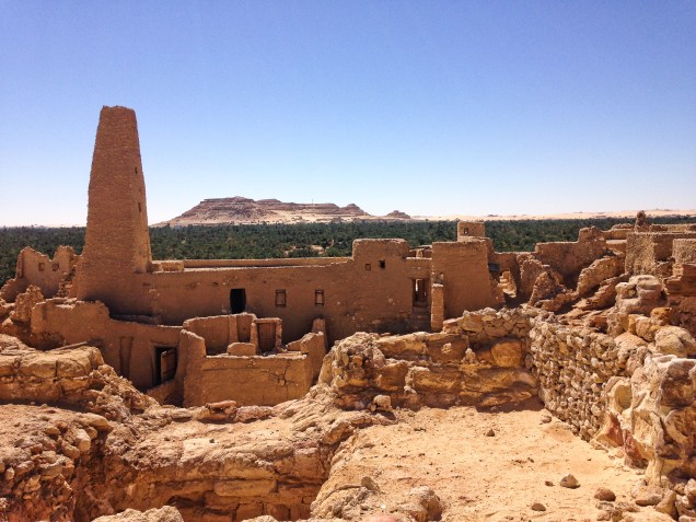 View from oracle temple across Siwa Oasis palms to mountains to south of the temple of the oracle.