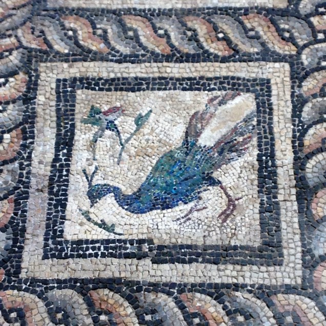 A mosaic of a peacock