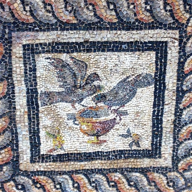 A mosaic portraying pigeons