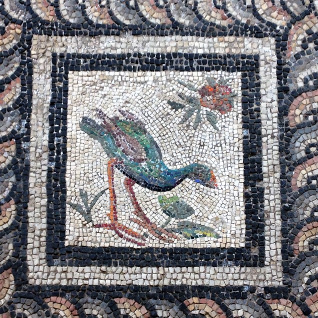 Mosaic of a swamp hen
