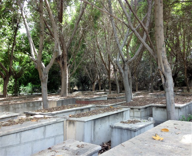 Tombs covered in leaves, Jewish cemetery of Alexandria