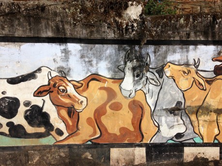 Cows on wall mural in Guwahati