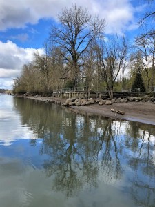 The clean water of the Willamette River reflects the clear blue, clean skies that are one of the effects of the coronavirus shutdown.